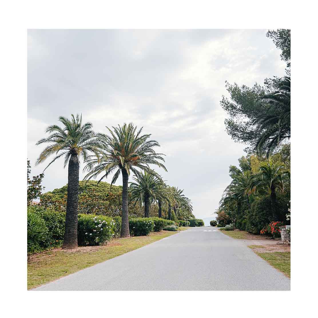 Saint Tropez